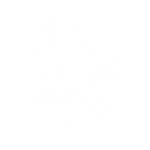 Claude Logo White