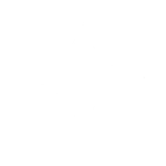 Gemini Logo White