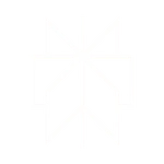 Perplexity Logo White